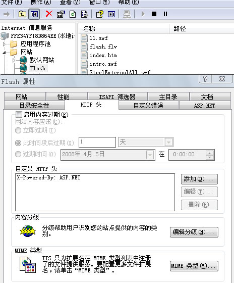 IIS MIME设置
